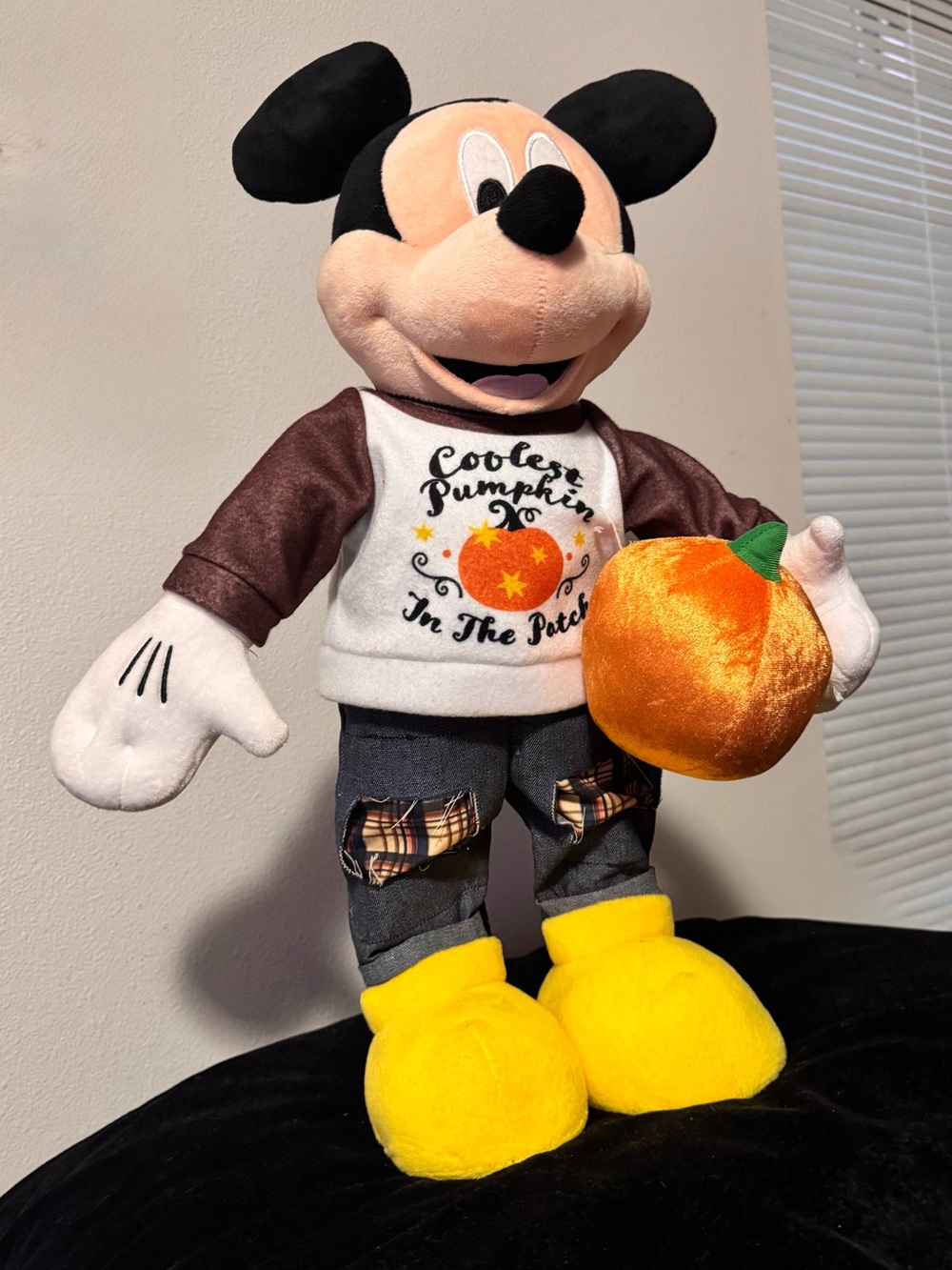 Disney Fall Thanksgiving 23 in Mickey Mouse Coolest Pumpkin In The Patch Greeter